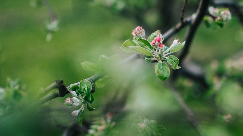 「摩羯座」未来三个月运势极好，正财财源滚滚，偏财喜从天降的四属相