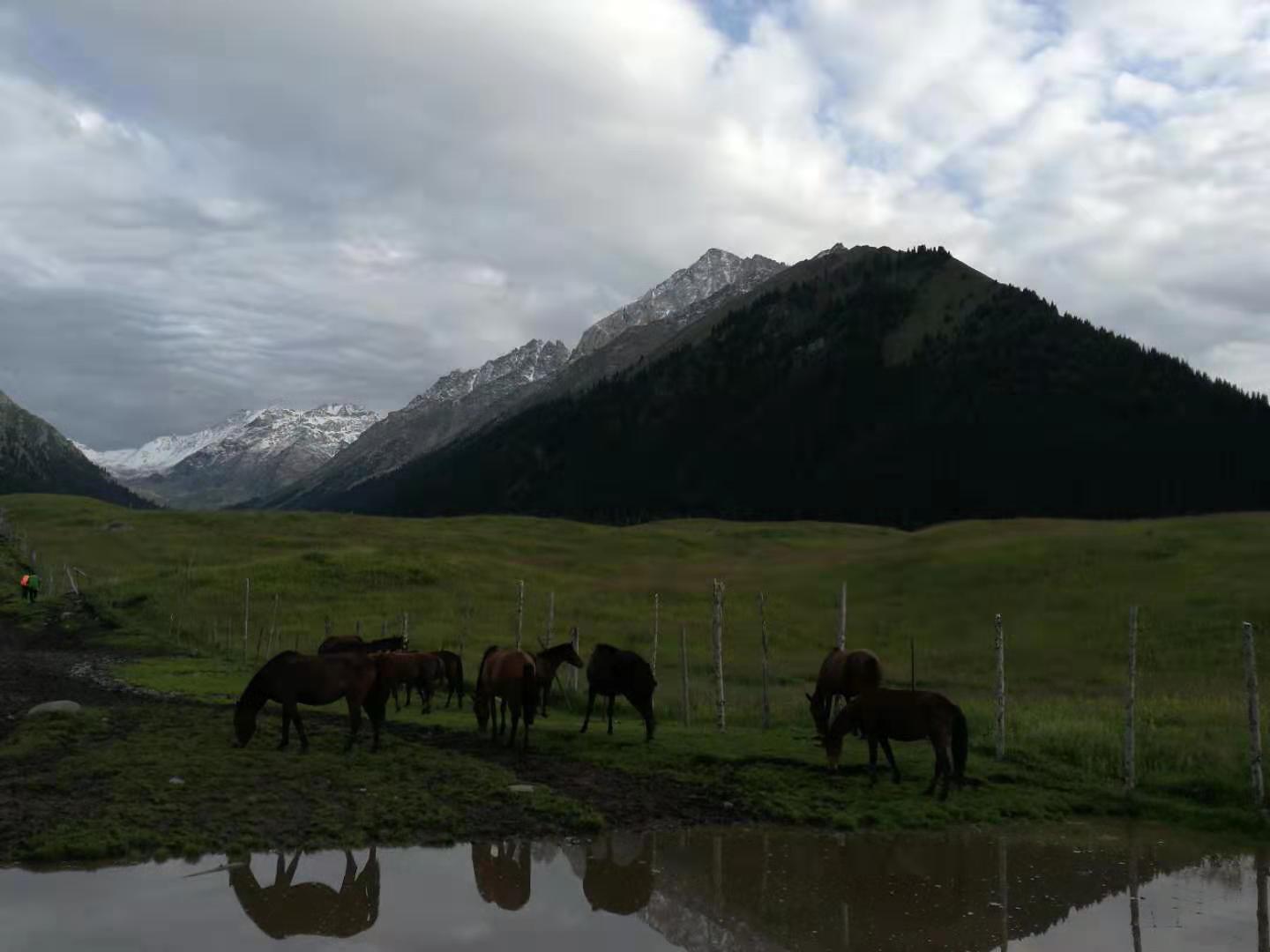 乌孙@天上的天山-走过乌孙