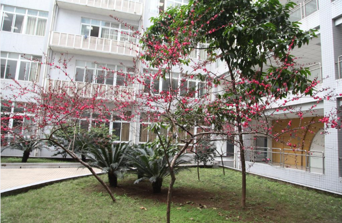 教育部@这20所“二本”大学录取分相对较低，很适合低分考生捡漏