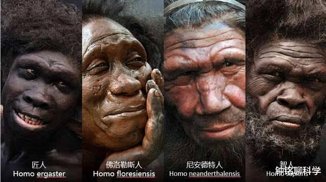 『隔离』黑种人、黄种人、白种人之间为什么没有生殖隔离？