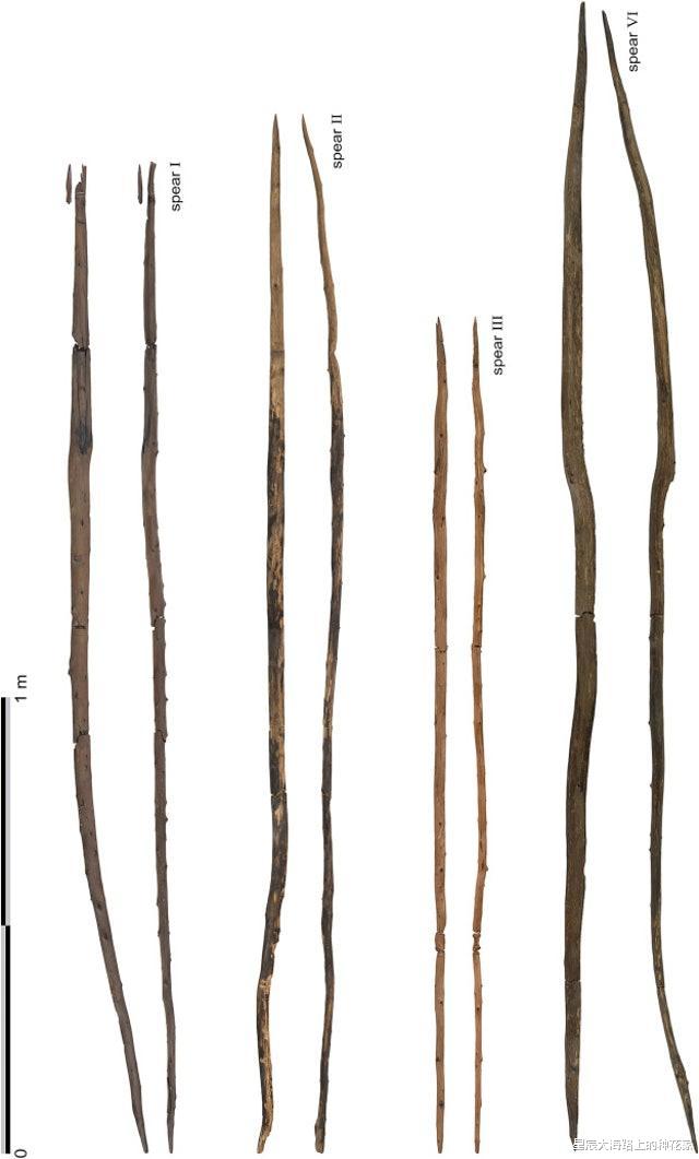 『智人』数十万年前,地球上至少有十几种人类,为什么最终只剩下了智人?