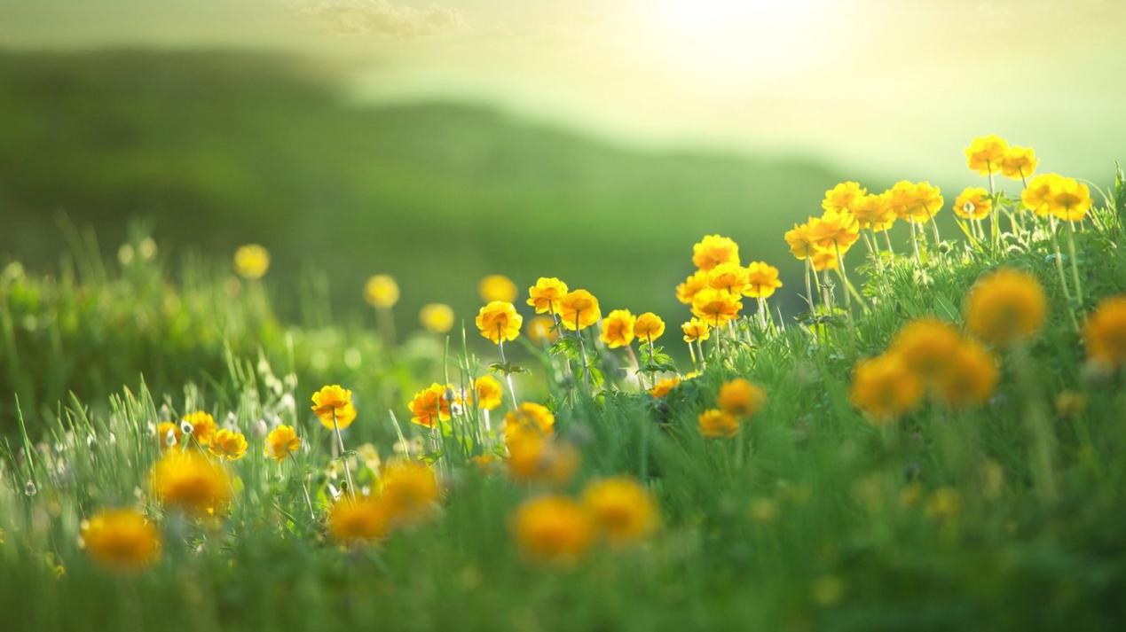 运势|生肖好运来敲门，8月财、福、喜三神临门，贵人相助