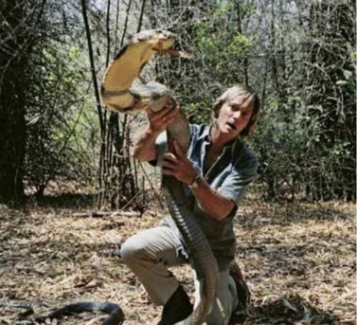 【毒蛇】“世界蛇王”是人而不是蛇，从致命毒蛇到巨蟒，没有他不敢抓的