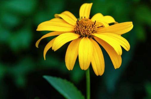 |实不相瞒：八月3属相财运一路大顺，前程一片光明，人生好命