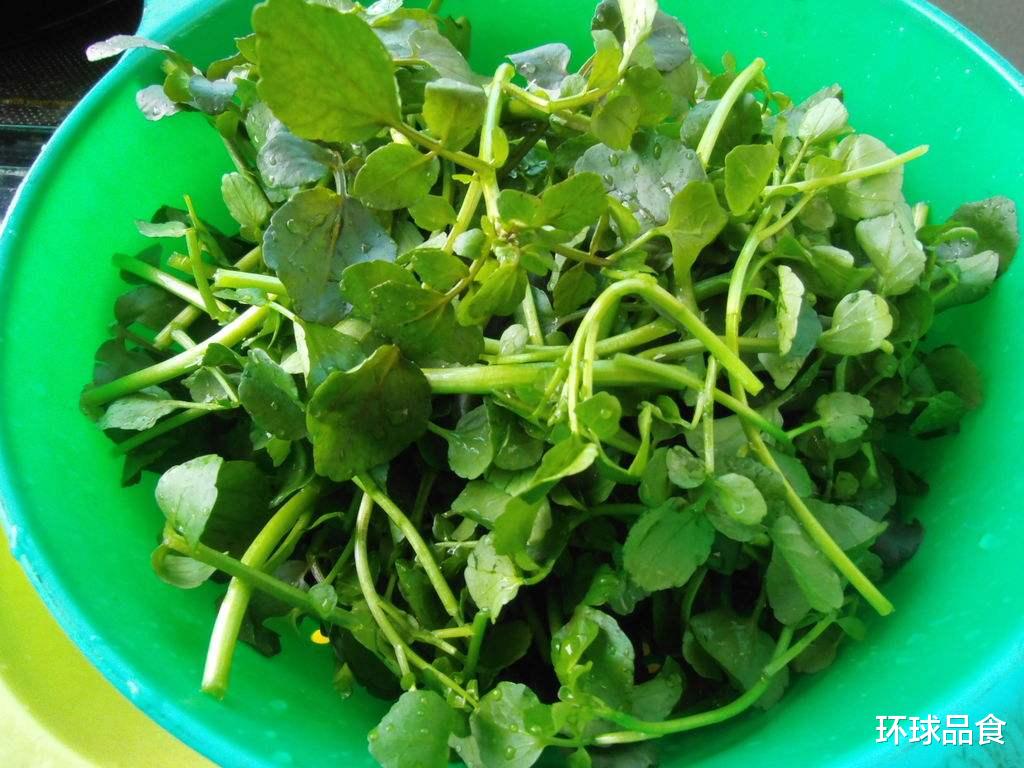 猪油|冬季，吃大鱼大肉不如它，简单煮一煮，气血足了，不懂吃可惜了