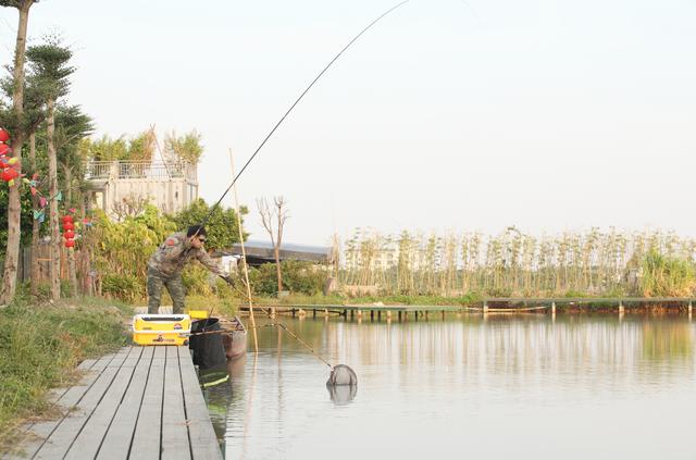 『』根据三个特征“趋温、趋氧、趋食”选钓位！不用打窝，都能爆护