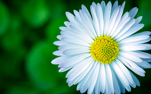 运势|7月中下旬,身体健康,运势很旺的三个星座