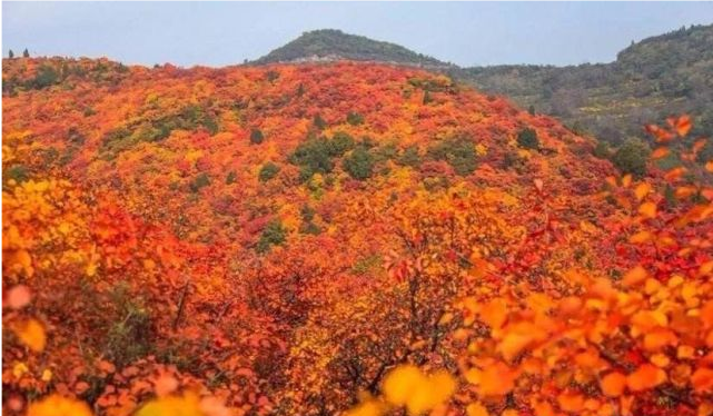 长白山|中国“秋天”最美的10个景区,个个都美如画