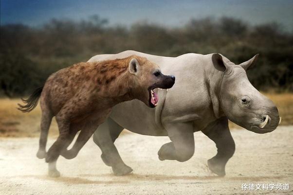鬣狗@5种最可怕的史前物种，专门猎杀我们的人类祖先！