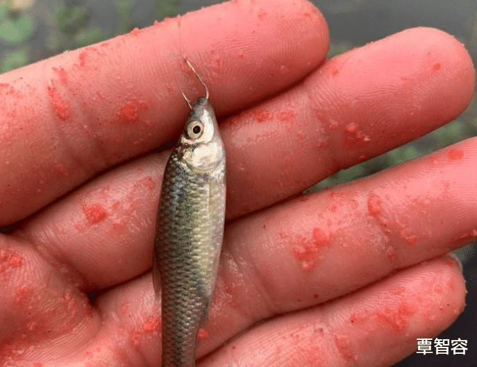 袜子|“游戏好友发展到这样是不是有点太快了”,这袜子是不是破了