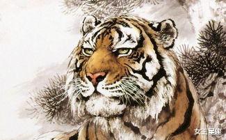 |属虎人：好事临门，最近七天，八方来财来贵人，事业枯木又逢春