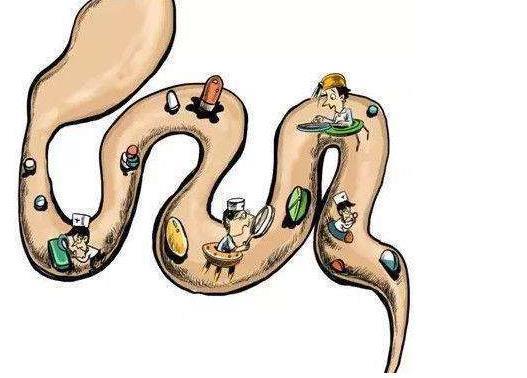 排便▲总是排便不畅?生姜搭配这些食物,让你排出宿便,一身轻松!