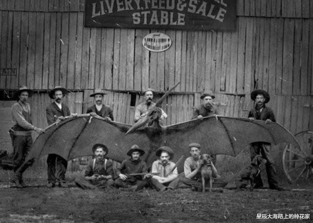 恐龙|恐龙真的消失了吗?1864年与恐龙合影的士兵,毫无PS痕迹!