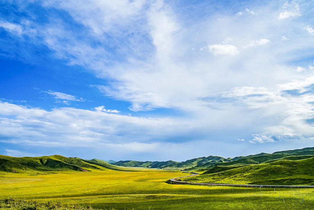 66号公路▲中国的66号公路！这条藏在川西的草原天路，每一帧都是流动的大片|思鹿旅行推荐