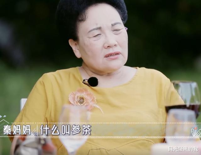 化妆师|别人都用人参煲汤喝,得知伊能静的人参用途,贫穷限制了我的想象