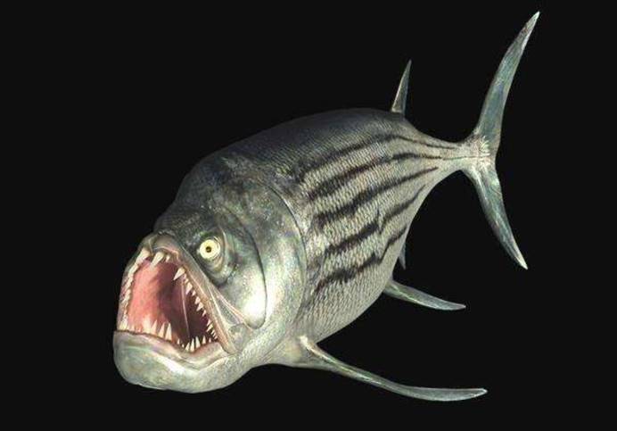 化石|阿根廷发现巨型鱼类，是白垩纪最恐怖的鱼类之一，牙齿跟针那么尖