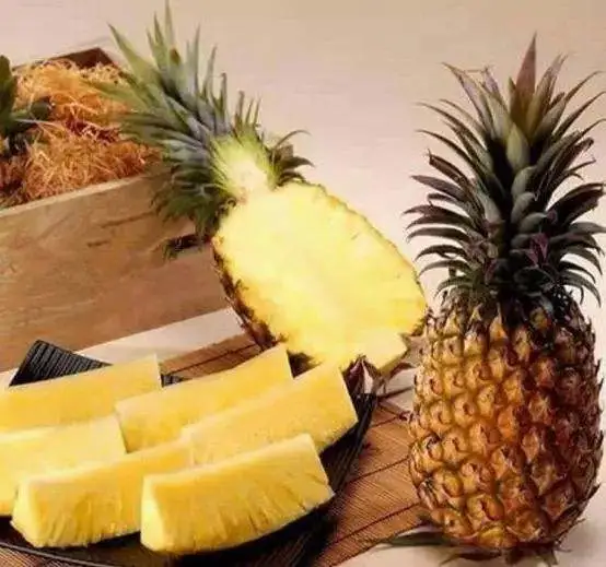 制冷剂|冰箱维修|无氟冰箱与普通冰箱的区别