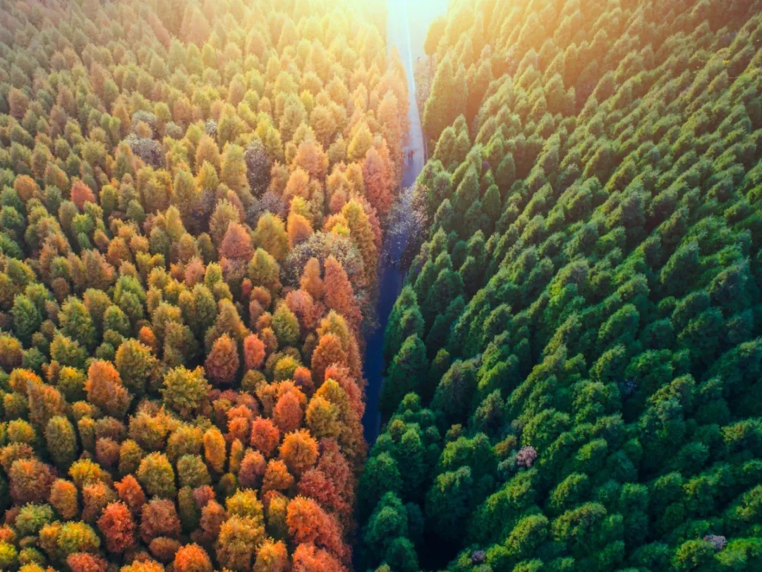 自驾|十处不拥挤、够惊艳的景色，适合国庆出行，总有一处对你胃口