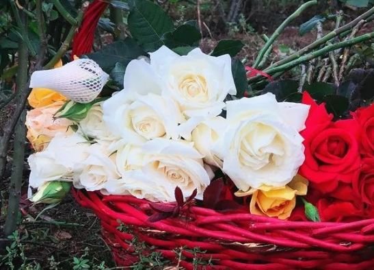 运势|未来3个月，4属相运势提升，事业一帆风顺，爱情甜蜜幸福