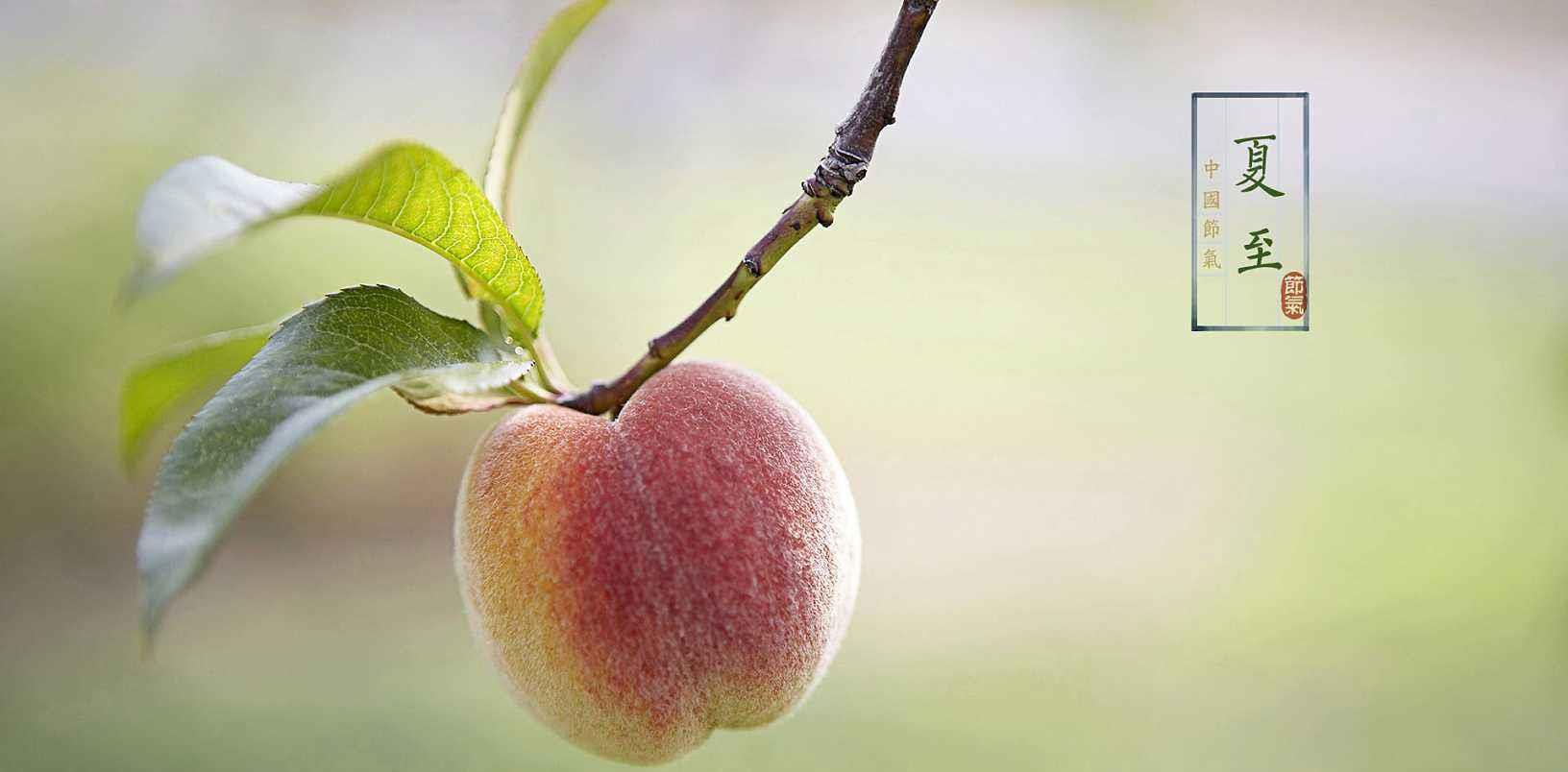 绿豆|夏至已到，“喝3汤，做3事”，解暑养心，健康度过夏季！