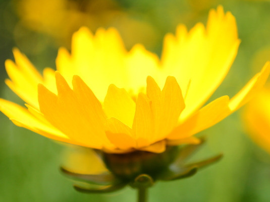 运势|11月下旬，4属相运势大涨，事业平步青云，财路广进，财帛无忧