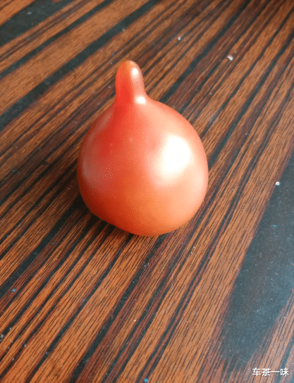 「」“家里电路坏了，爸爸花7万重新装修”活了20年第一次见这么粗的电线