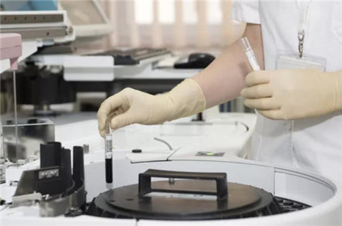 后代|人猿后代实验：5名女性参加实验，繁衍了人兽胚胎，最后成功了吗