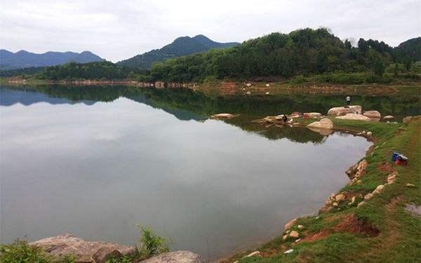 鲫鱼|鱼道=鱼到，野钓时如果你能找到“鱼道”，那结果自然可想而知了