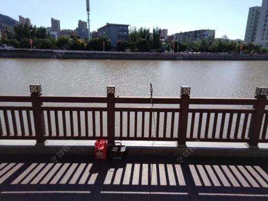 大米|拿来大米饭，鲫鱼照样赞