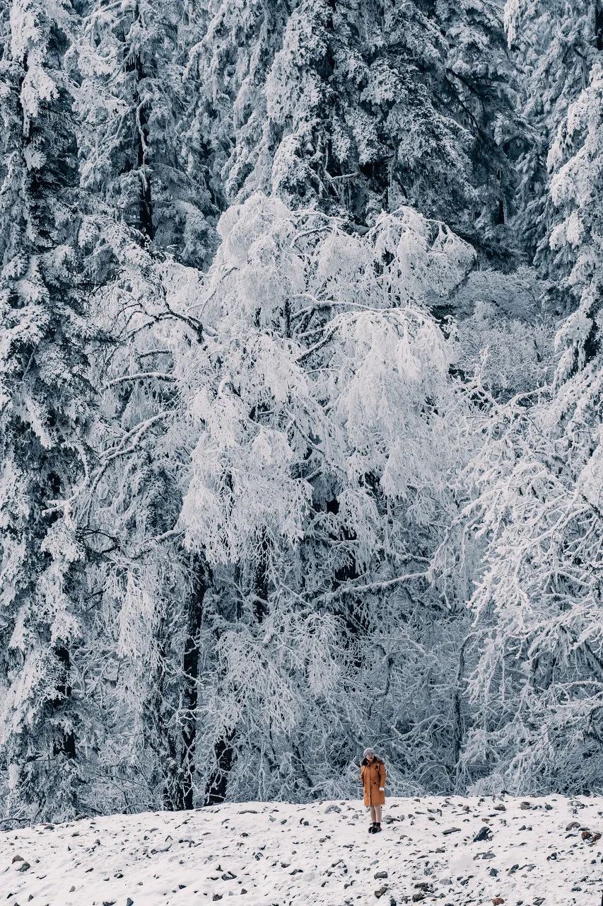 旅行 中国最美的30个雪景，看过23个就“此生无憾”了，你去过几个？