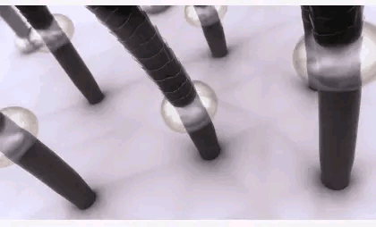 洗发水：继“蜂花”之后！又一“平价”洗发水火了，低价高质击败欧莱雅