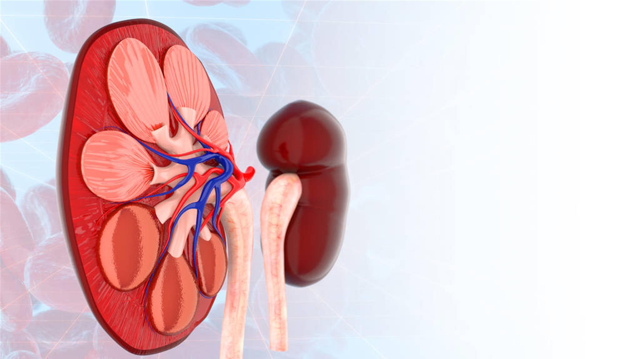 黄芪|黄芪和它“天作之合”，用来泡水喝，血管通畅，肝肾也许笑开颜