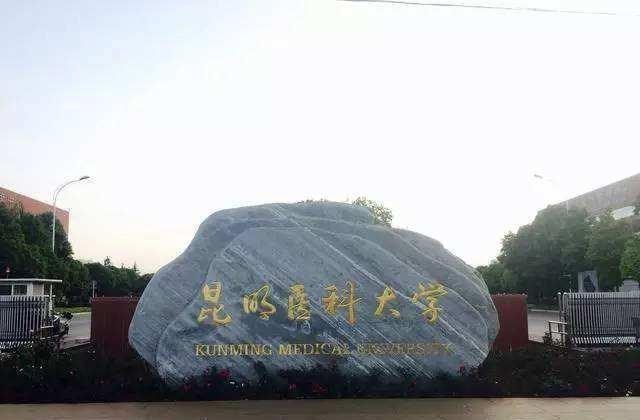 医生|二本分数能读“医学专业”吗?能当医生吗?这些学校能满足你