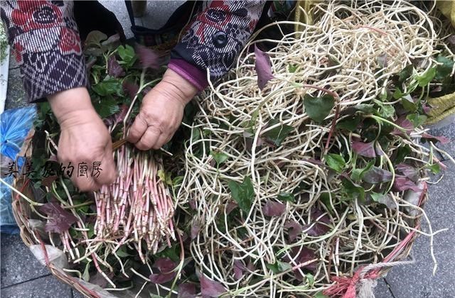 【香椿】中国美食“最原始”城市，外地人去菜市场几乎崩溃：一个都不认识