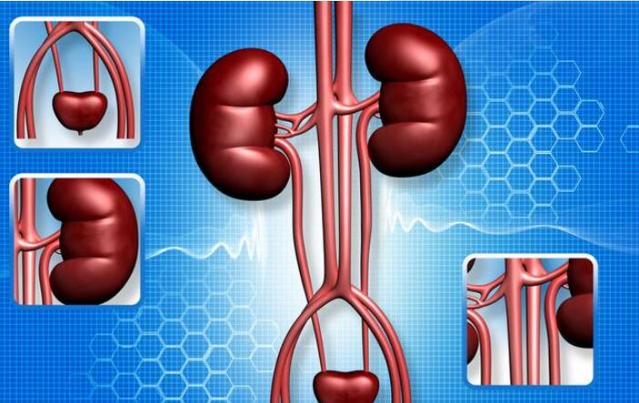 肾病:肾病临床“治愈”的标准是什么?做好2点,多数肾友可达到