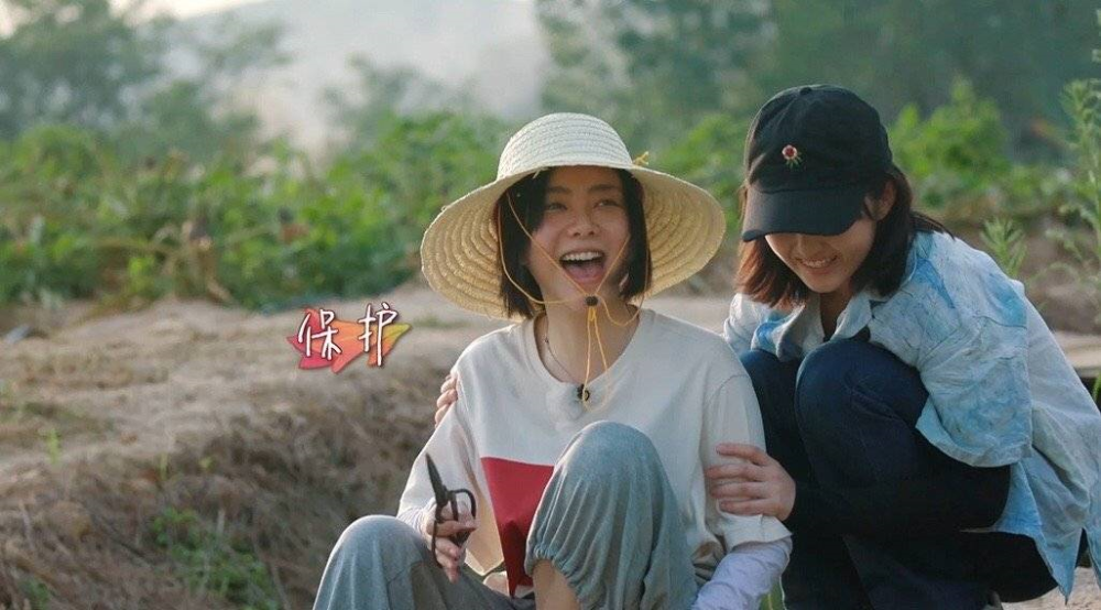 『向往的生活』《向往的生活》渐入佳境，第六期成本季最佳，下一期可能会更好