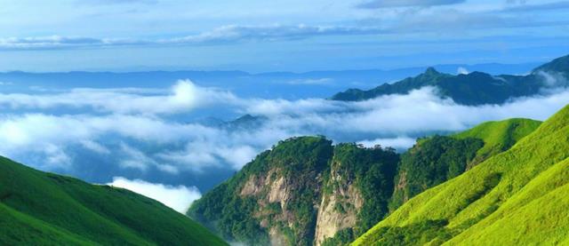 生肖|11月下旬，爱有多心累，就有多难忘，痛苦是你，幸福甜蜜也是你