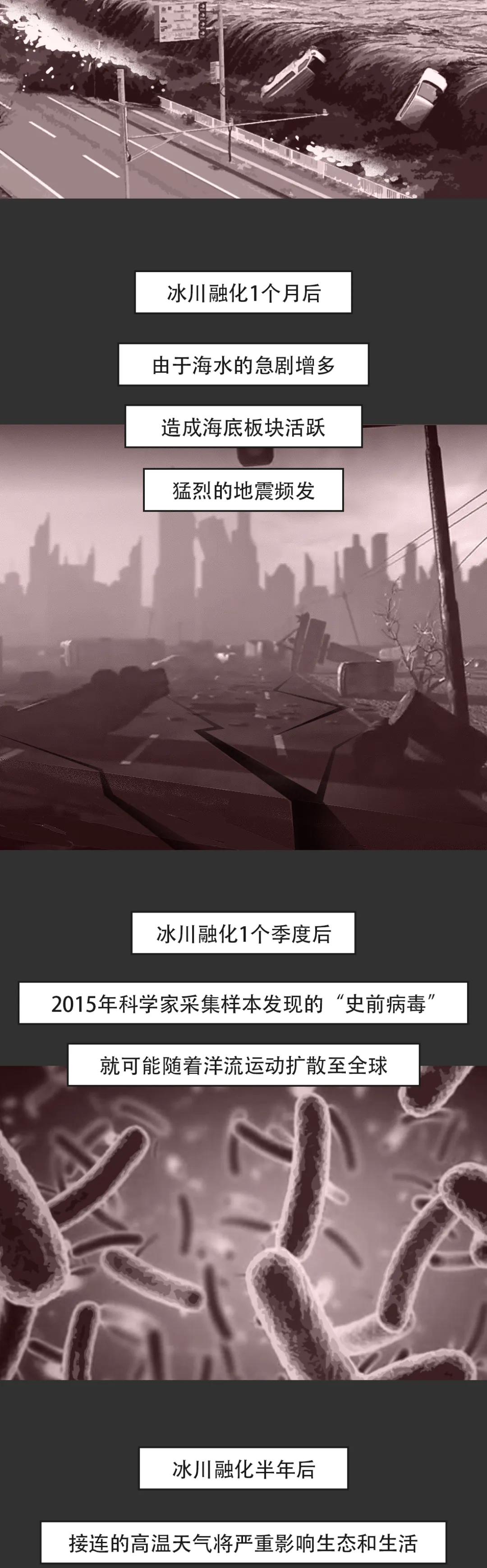 北极熊|她挣扎48小时后死去，无人知晓