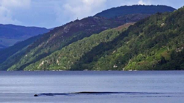 「尼斯湖水怪」尼斯湖水怪是一个骗局,所谓水怪只是条蛇?细思极恐的事出现了!