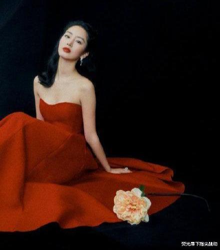 杨采钰|与刘亦菲高度相似的杨采钰，被视为金主爸爸真金白银堆砌的替代品