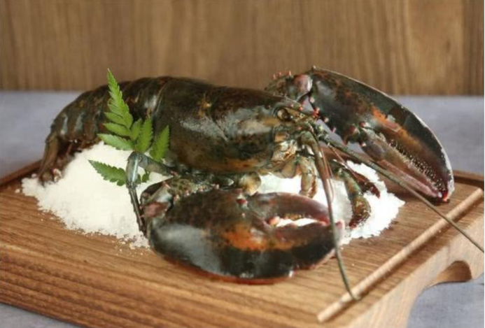 |活了140岁的龙虾长啥样?直接被赐“免死金牌”,只能看不能吃