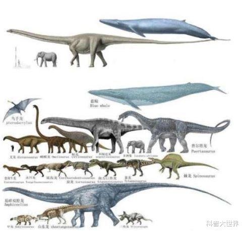 恐龙▲地球生命史上有比蓝鲸更大的动物吗？如果有的话！可能就是它了