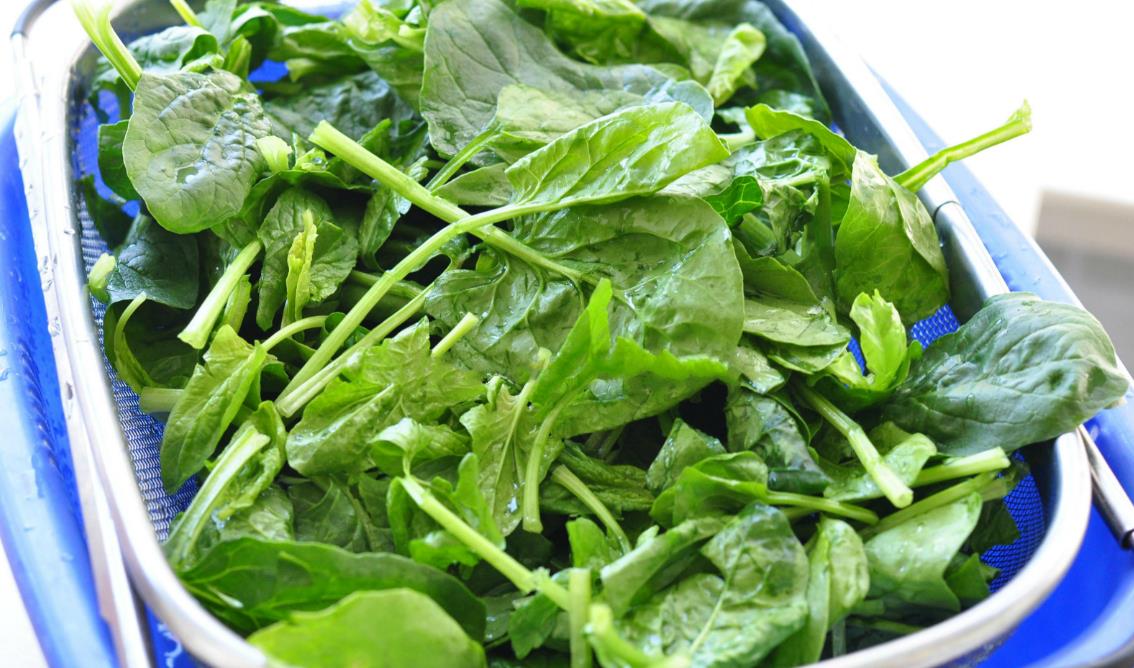 【芝麻酱】医生朋友告诉我,它是天然“钙库”,一周吃3次,孩子长成大高个