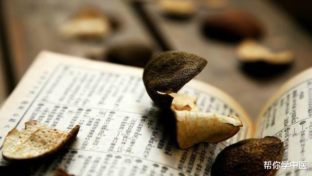 肉桂▲中医治上热下寒的方子！十一味药，降下浮阳，补足真阴，精彩