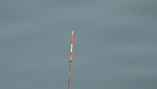 |别再纠结怎么调漂了，告诉你最简单的调法，也是调漂的精髓！