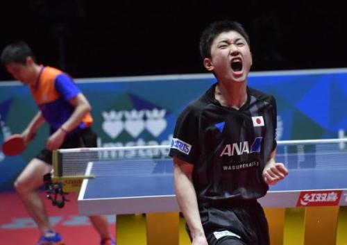 「日本队」刘国梁“神预言”！张本智和一家惨遭日本排挤，母亲后悔想回中国