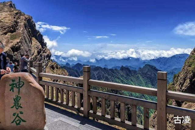 古凌|神农架到底有没有野人？七八十年代，中国3次考察验证其真实性