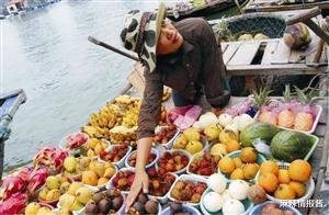 #越南#越南禁止出口大米,致国际粮价飙高,网友:那我们不吃越南水果了