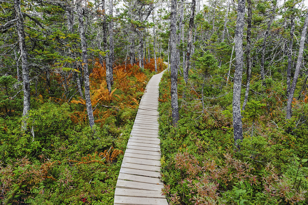 「太行山」全长2300公里的太行山森林步道正式迎宾了！
