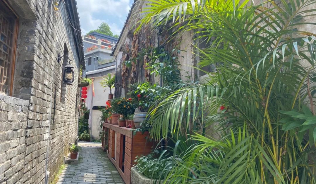 沙湾古镇|在珠三角，每个周末我都有一个理想的去处！